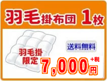 羽毛掛け布団クリーニング